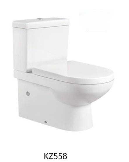 Bathroom-Toilet (10)