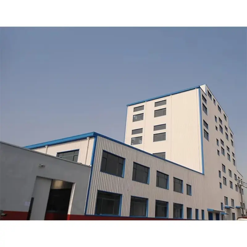 Prefabricated Light Steel Frame Construction A Modern Approach to Sustainable Building (3).jpg