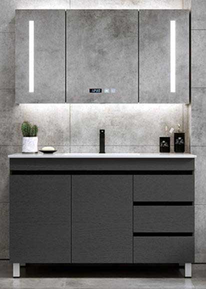 Free standing Vanity, including the mirror cabinet (without lights) (6)