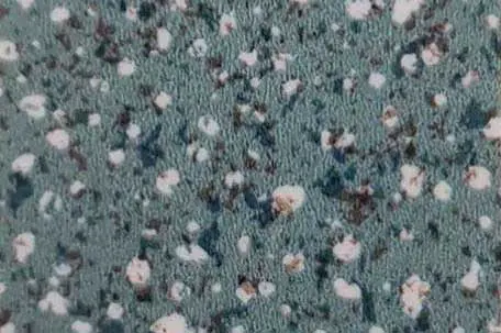 Vinyl flooring (4)