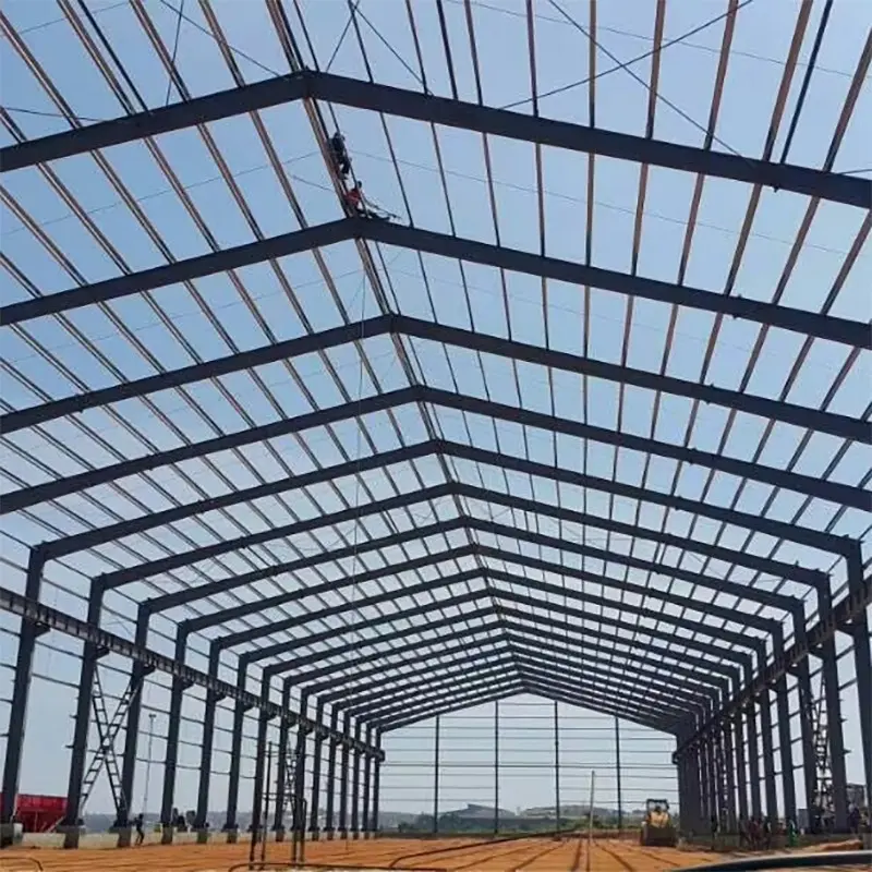 Steel Structures Warehouse An Efficient Solution for Storage Needs (5).jpg