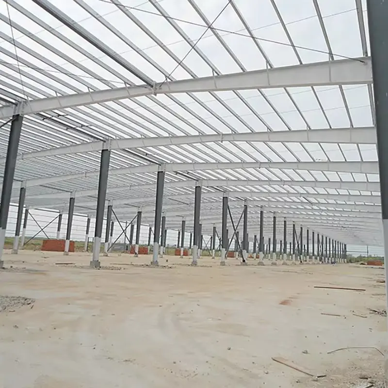 Steel Structure Building Durable and Versatile Construction (6).jpg