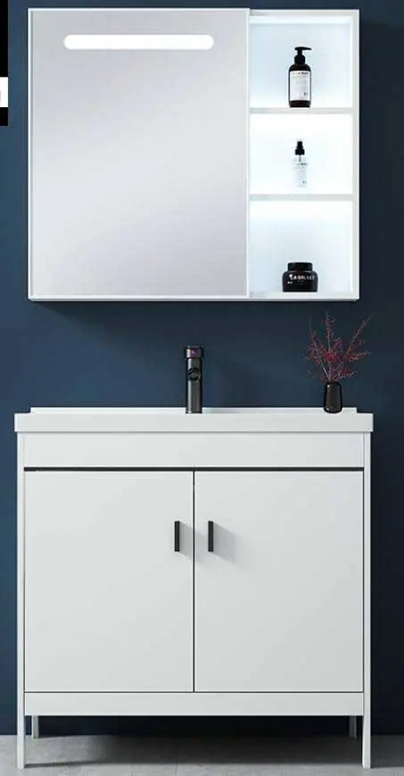 Free standing Vanity, including the mirror cabinet (without lights) (9)